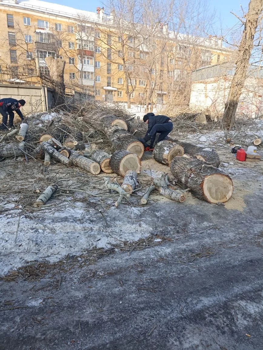 Заросший участок до