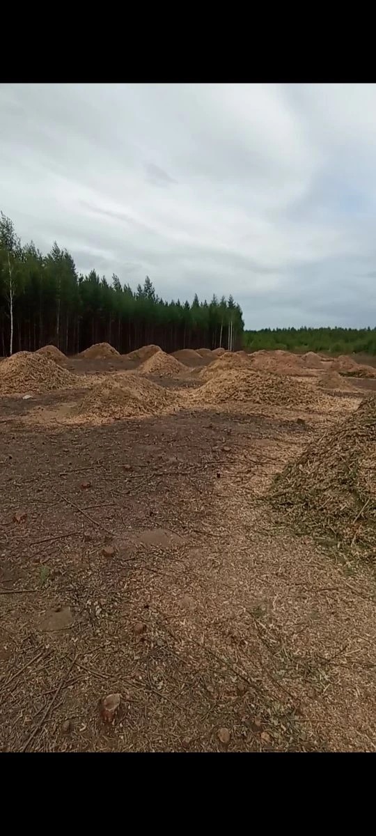 Аварийное дерево до